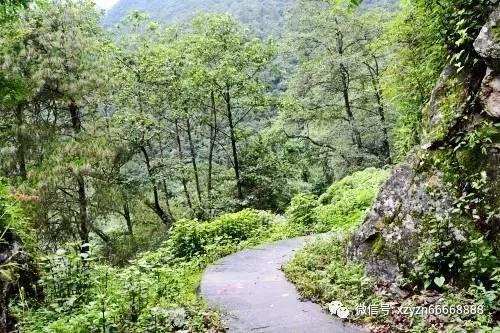 陶粒一般在哪买- 你问我答,解答疑问就在陶粒一般在哪买