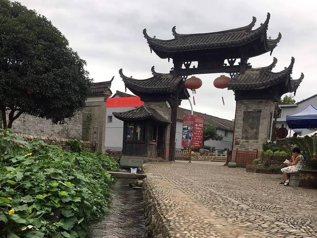 救援紫色生物